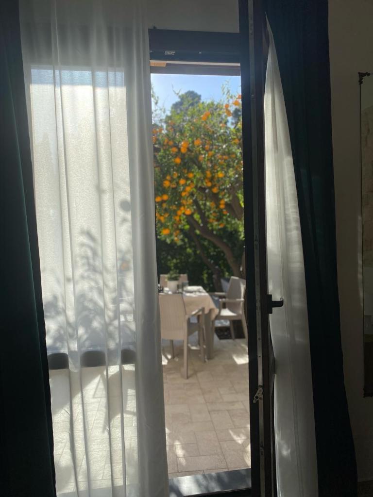 Casa Vacanza Il Mandarino Viagrande Εξωτερικό φωτογραφία
