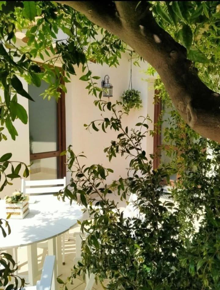 Casa Vacanza Il Mandarino Viagrande Εξωτερικό φωτογραφία